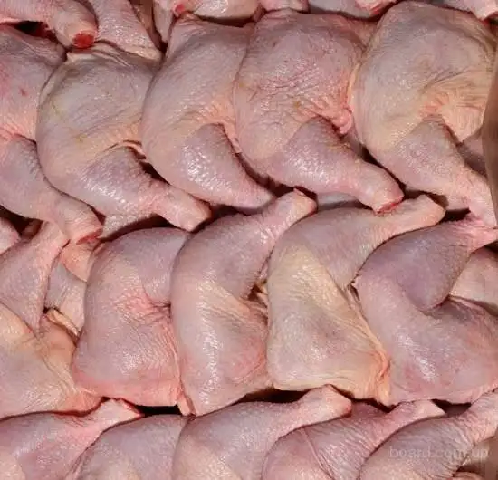 Supplier Of Frozen Chicken Meat & Poultry
