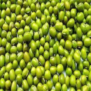 Haba Moong / Mung de calidad superior de la India con alto contenido de proteínas y nutrientes. Gramo mungo de calidad exportado - Product Image 2