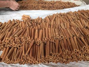 VIETNAMESE ROUND CUT CASSIA / SQUARE CUT CASSIA - Product Image 4