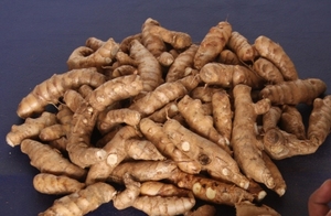 ARROWROOT FRESCO DE ALTA CALIDAD - Product Image 3