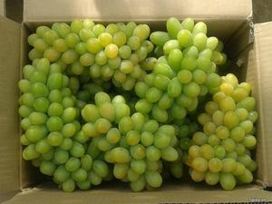 ผลไม้อบแห้ง-กล้วย-มะม่วง-ผลไม้เขตร้อน - Product Image 6