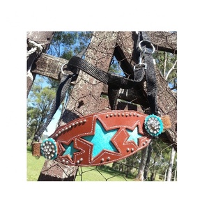 Nouveau Design Bling Bronc Nylon Cheval Halter Élégant Western Saddle Style Show Head Collar avec Fantaisie Cuir Couleurs Assorties - Product Image 1