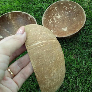 Coquille de noix de coco très épaisse pour la culture des plantes - Product Image 1