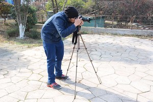 Treppiede per Fotocamera in Alluminio WF WT3130 con Braccio Oscillante e Borsa per Fotocamere <span class=keywords><strong>Canon</strong></span> Sony DSLR e Videocamere - Product Image 4