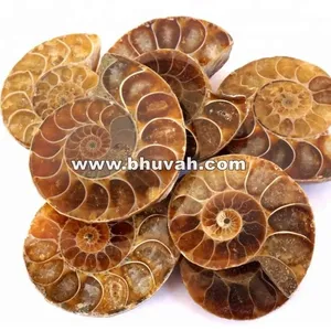 Ammonite Pierre précieuse en vrac pour la fabrication de bijoux Pendentif Bracelet Collier Pierre naturelle parfaite - Product Image 2