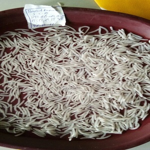 Indian Leading Supplier of Dried 1121 Shugandha White Steam <b>Sella</b> Parboiled Basmati <b>Rice</b> Long Grain Free Sample - Product Image 3