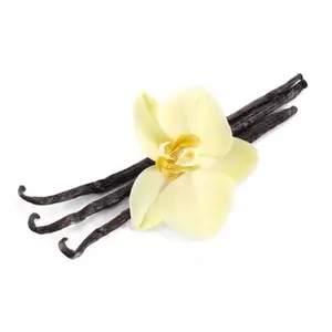 OEM 100% Natural Hot Selling Vanilla Essential Oil For Aromatherapy Use buy 100 % natural vanilla