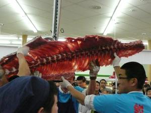 Meilleures ventes Bones Tuna - Product Image 6