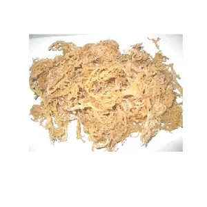 Alga Marina Eucheuma Cottonii Seca y Saborizada de Alta Calidad, Secada al Aire, Empacada en Bolsas, Ideal para la Venta - Product Image 1