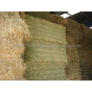 GOOD Quality Alfafa Hay for Animal <b>Feeding</b> Stuff Alfalfa / Alfalfa hay / Alfalfa hay for Sale - Product Image 3