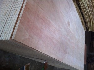 Contreplaqués commerciaux en bois mélangés de haute qualité pour le marché coréen - Product Image 6