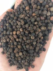 Pimienta negra, alta calidad, boldo, 5MM - Product Image 3