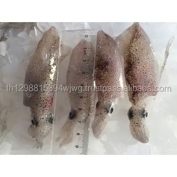 Taze canlı dondurulmuş ahtapot/deniz ürünleri bebek ahtapot toptan fiyat