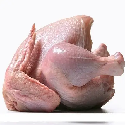 halal whole frozen chicken