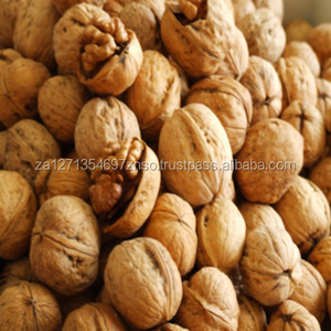 Avellanas crudas blanqueadas de alta calidad, sabor natural, grado A, envasadas al vacío, Sudáfrica, 2 años de duración. - Product Image 4