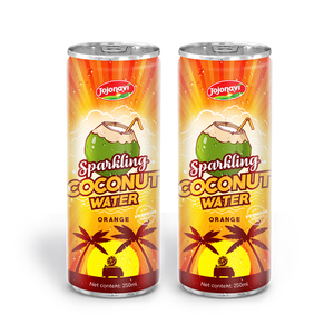 Puré de Agua de Coco Espumosa, Certificado Halal, 100% Puro, Lata de Aluminio de 250 ml, Marca JOJONAVI, Servicio ODM, Precio al por Mayor - Product Image 3