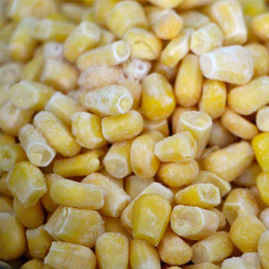 MAÍZ CONGELADO CON EL MEJOR PRECIO Y ALTA CALIDAD DE VIETNAM - Product Image 5