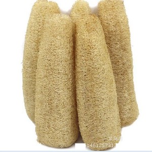 ราคาที่ดีที่สุดและมีคุณภาพสูงฟองน้ำ Loofah จากบริษัทของเรา/ - Product Image 5