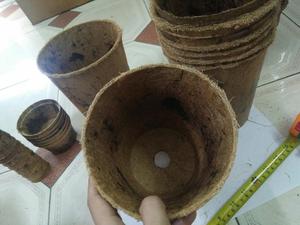 COCO-olla de COIR para cultivo - Product Image 6