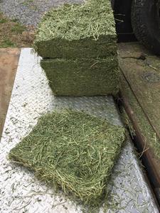Alfalfa hay with high protien for animal feeding - Product Image 2