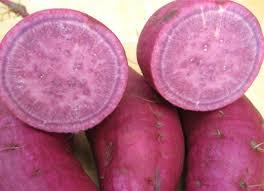 Nouvelle récolte de patate douce violette japonaise à bon prix en provenance du Vietnam - Product Image 3