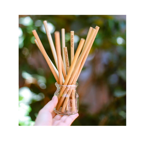 Pailles à boire en bambou avec brosse de nettoyage Accessoires de bar ronds écologiques avec logo personnalisé Échantillon gratuit pour bar à usage domestique - Product Image 1
