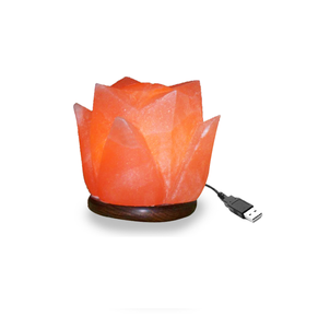 Rehaussez votre ambiance avec des lampes en sel rose de l'Himalaya de forme ronde, écologiques, naturelles, de nuit, de Sian Enterprises - Product Image 6