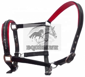 Diseño inteligente Calidad Ecológico PVC Arabian Horse Halter Iron Hardware para carreras de resistencia Full-Cob- Size Más vendidos - Product Image 1