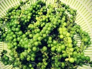 Pimienta verde de belleza fresca, el precio más caliente para los compradores - Product Image 2