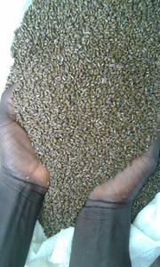 สารสกัดจากเมล็ดยี่หร่าป่าปลอดภัยในการบริโภคที่มีส่วนประกอบที่ถูกต้อง - Product Image 2