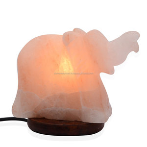 Lampe solaire avec Plug et ampoule, 17 modèles disponibles, luminaire décoratif idéal pour le sel, la mer naturelle, différentes tailles - Product Image 3