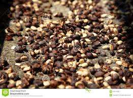 Cáscara de Café/Cáscara de Grano de Café - Product Image 2