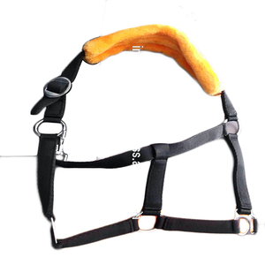 WANT TO SELL SHOW Fleece Padded PP HORSE <b>halters</b> IN DOLLAR 2 SIZE full cob Shetland - Product Image 1