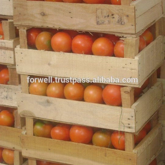 Свежий красный томат по хорошей цене