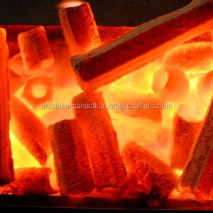 CAIRO BEST SELLER FOR RESTAURANT GRILLED LUMP COCONUT SHELL CHARCOAL FOR BARBECUE BBQ - Product Image 1