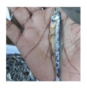 Pescado seco de Vietnam, anchoa seca, espadines bien secos disponibles - Product Image 1