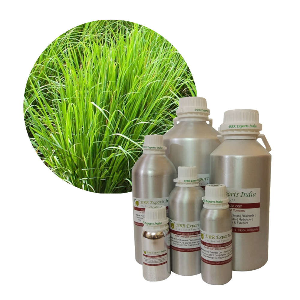 pure citronella oil java gmp certified bulk supplier of indian