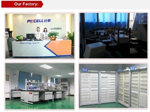 PKCELL <span class=keywords><strong>Low</strong></span> Tự Xả Sẵn Sàng Để Sử Dụng 2 Cái/gói 1.2V 2600Mah Aa <span class=keywords><strong>Nimh</strong></span> Pin Sạc Cho Đồ Chơi Điện/Máy Ảnh/Bàn Chải Đánh Răng - Product Image 5