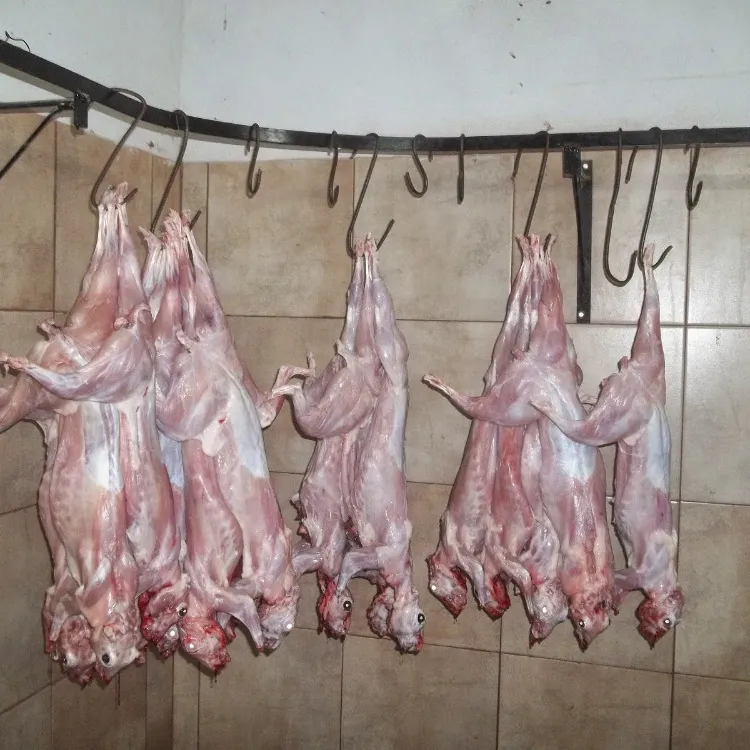 Qualità standard dell'UE 680 tonnellate di carne di coniglio intero fresco congelato/carne e parti di coniglio congelato
