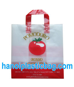 Sac de transport souple imprimé de haute qualité - Hanoi Plastic Bag JSC Origine Hanoi Utilisation pour le shopping - Product Image 3