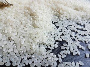 JAPONICA Calrose Arroz Seco de Grano Corto Textura Suave para Cocina Japonesa - Product Image 3