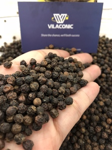 Poivre noir cru biologique en vrac 500GL du Vietnam |   Prix compétitif |   Fournisseur d'exportation directe [Evelyn] - Product Image 3