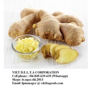 Gingembre congelé de haute qualité du Vietnam, prix bas, origine du Vietnam - Product Image 6
