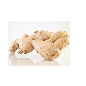 ขิงสดออร์แกนิกจากเวียดนาม - Product Image 2