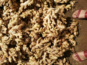 El Mejor Precio de jengibre fresco/jengibre fresco - Product Image 6