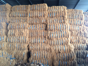 Fibra de Coir de coco seco, fibra Natural - Product Image 6