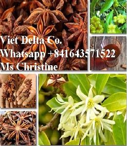 โป๊ยกั๊กแห้ง/Illiciuum Verum - Product Image 3