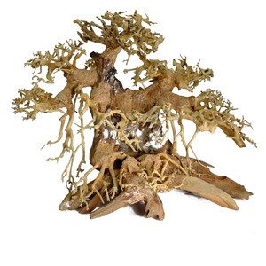 2025กล่องไม้เนื้ออ่อนบอนไซสำหรับตกแต่งตู้ปลาขายส่งจากเวียดนามผู้ผลิตในราคาไม่แพง - Product Image 1