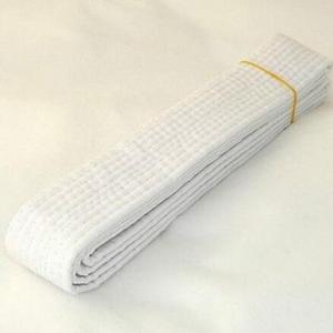 Solid Rank Karate Martial Arts and TaeKwonDo <b>Belts</b> - Product Image 3