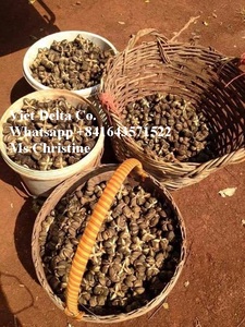 Anís Estrellado Puro de Vietnam - Product Image 3